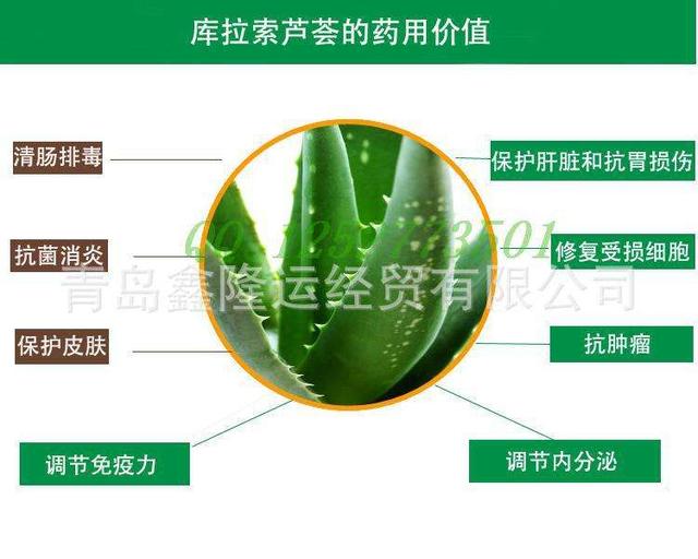 芦荟能吃吗有毒吗，芦荟有毒请慎食