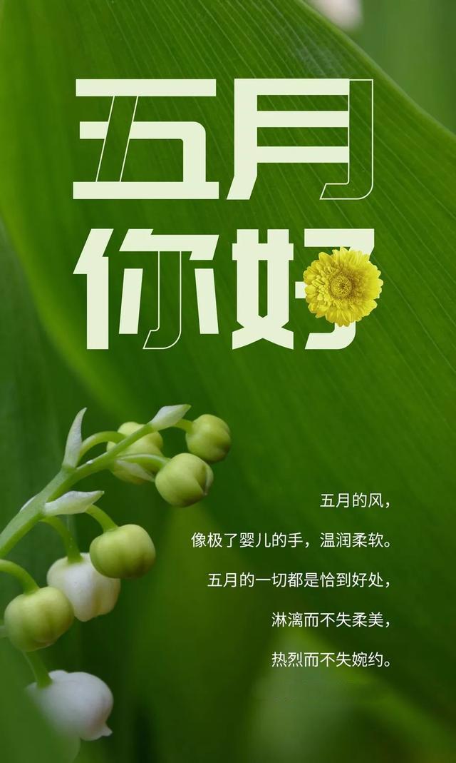 5月你好的文字图片，5月的早安心语句子