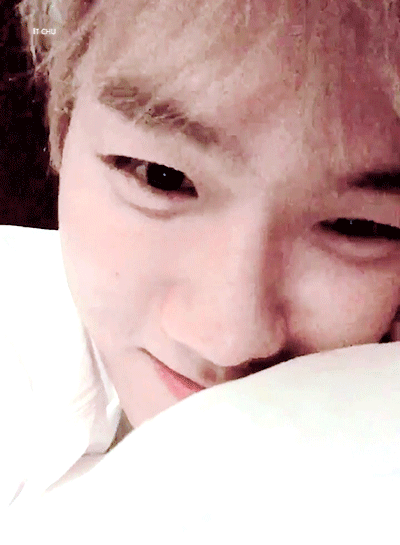 边伯贤啵啵虎，母胎中的人气王