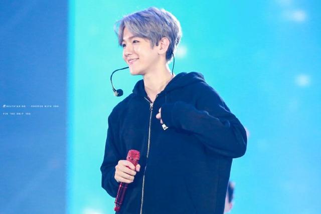 边伯贤啵啵虎，母胎中的人气王