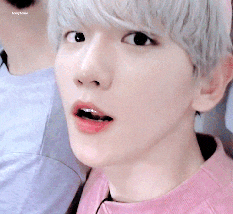 边伯贤啵啵虎，母胎中的人气王