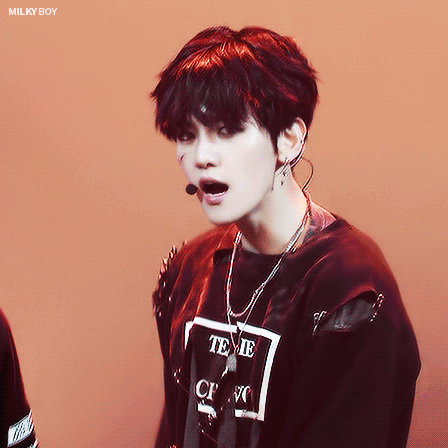 边伯贤啵啵虎，母胎中的人气王