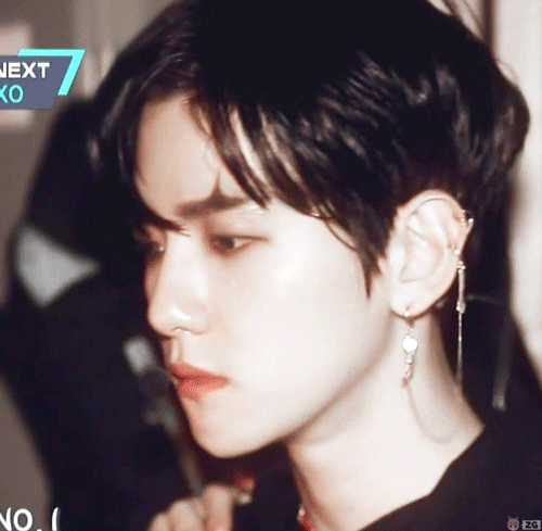 边伯贤啵啵虎，母胎中的人气王