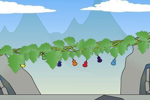 有的葫芦藤为什么不结葫芦，阳台种葫芦要注意这些