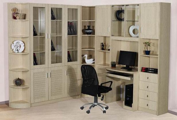 臭虫长得什么样子的，湖北十堰臭虫泛滥