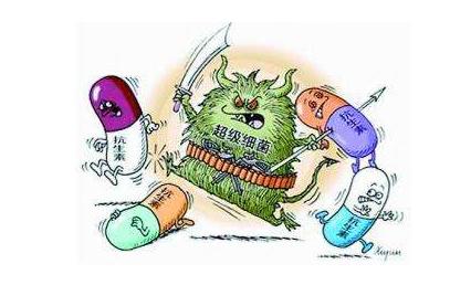 臭虫长得什么样子的，湖北十堰臭虫泛滥