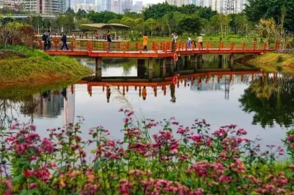 深圳十大免费景点，深圳十大必玩免费景点排名