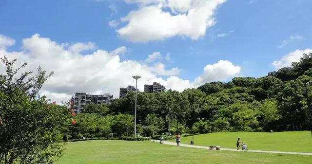 深圳十大免费景点，深圳十大必玩免费景点排名