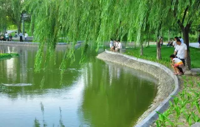 深圳十大免费景点，深圳十大必玩免费景点排名