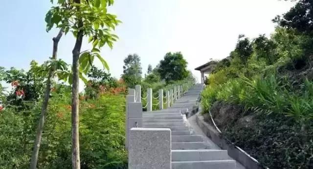 深圳十大免费景点，深圳十大必玩免费景点排名