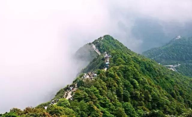 深圳十大免费景点，深圳十大必玩免费景点排名