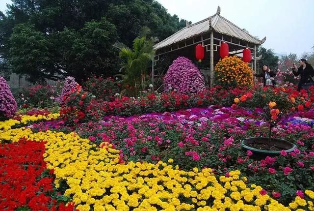 深圳十大免费景点，深圳十大必玩免费景点排名