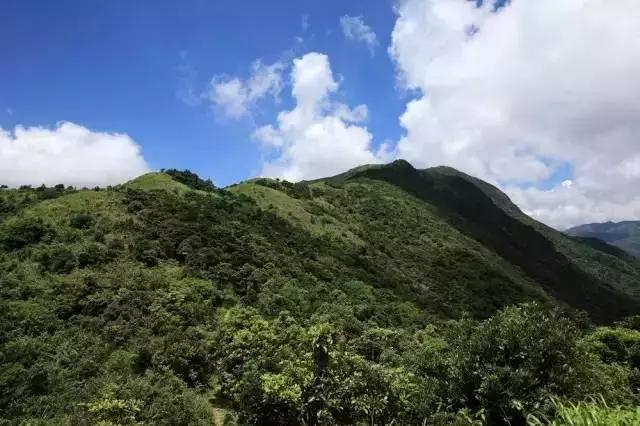 深圳十大免费景点，深圳十大必玩免费景点排名