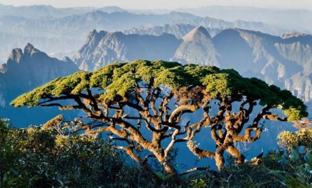 广西20大绝世美景，警惕冒充香港“白富美”的“杀猪盘”新套路