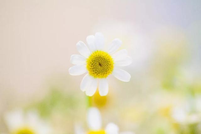 晚安人生感悟180514：前半生再见，后半生你好