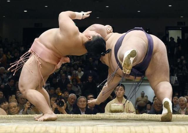 相扑运动员图片，日本史上最强相扑（日本唯一本土相扑横纲退役）