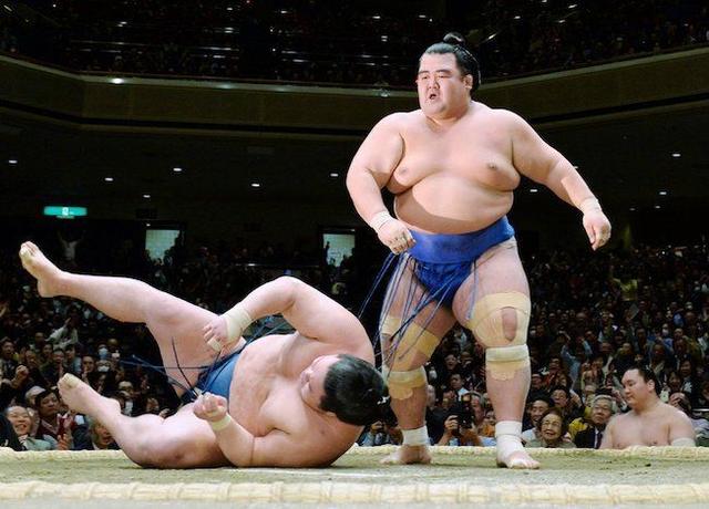 相扑运动员图片，日本史上最强相扑（日本唯一本土相扑横纲退役）