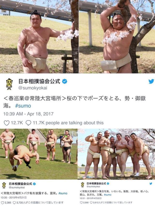 相扑运动员图片，日本史上最强相扑（日本唯一本土相扑横纲退役）