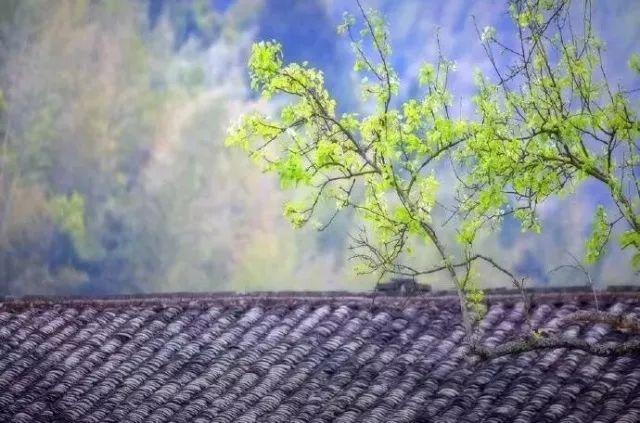 晚安文字180515：活在当下，正向提升