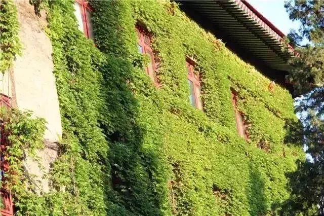 西安工业大学图书馆，最美高校图书馆排名