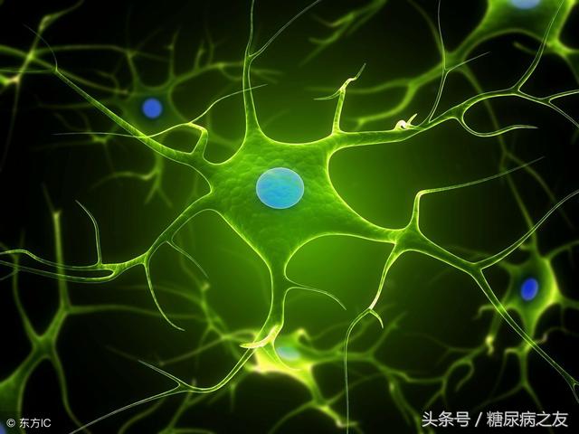 糖尿病唐维(糖维胶囊真的能治糖尿病吗)