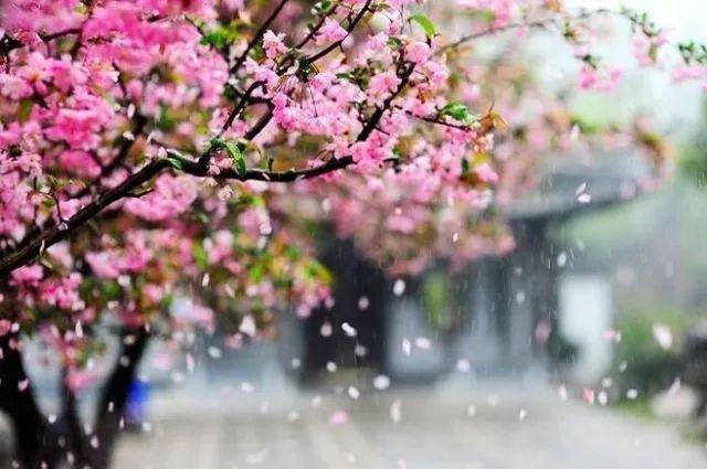 晚安美文180518：做人就要实实在在，做事就要诚心诚意