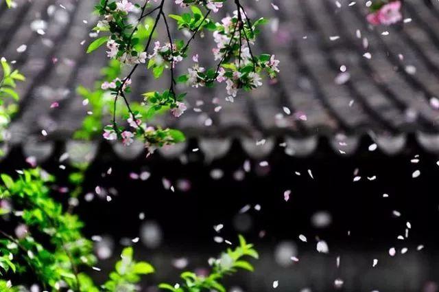 晚安美文180518：做人就要实实在在，做事就要诚心诚意