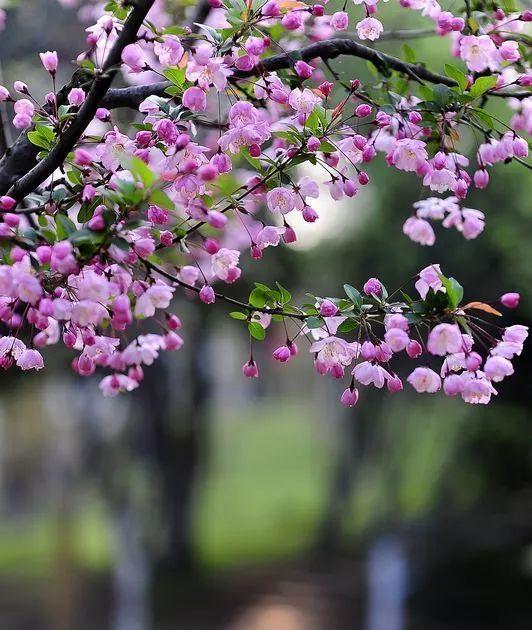 晚安美文180518：做人就要实实在在，做事就要诚心诚意