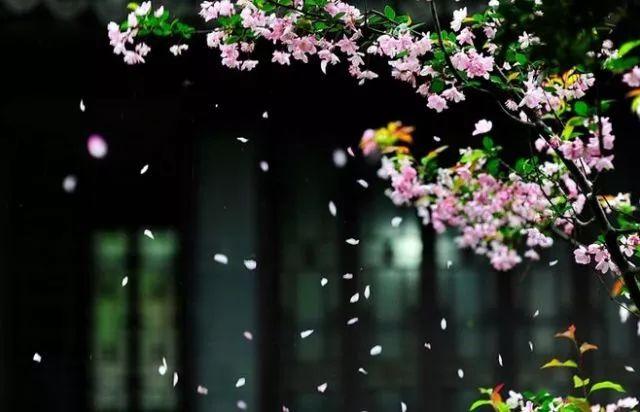 晚安美文180518：做人就要实实在在，做事就要诚心诚意
