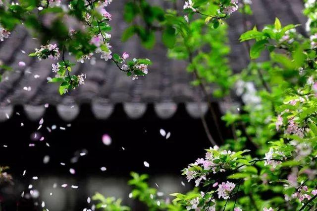 晚安美文180518：做人就要实实在在，做事就要诚心诚意