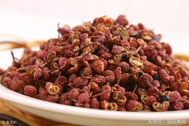 鸡如何预防绦虫病，养鸡有绦虫蛔虫