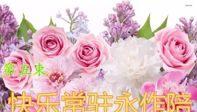 情人节送玫瑰花的含义5.20情人节到了！最美的祝福送给天下有情人！打开看看