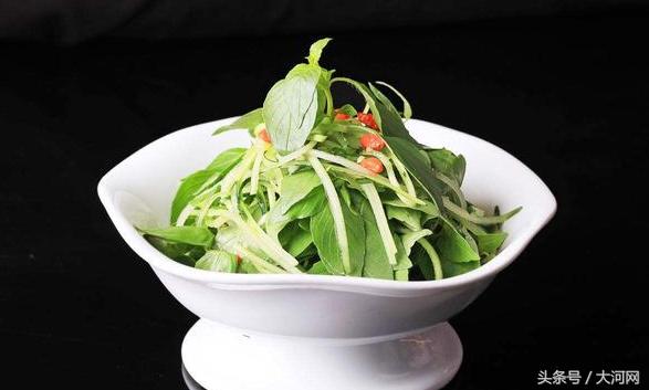 河南特产荆芥菜，荆芥罗勒河南人爱吃的这样菜到底是啥