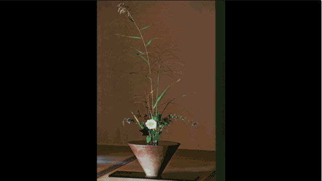 25年前的观音菩萨，她在佛前献花整整10年