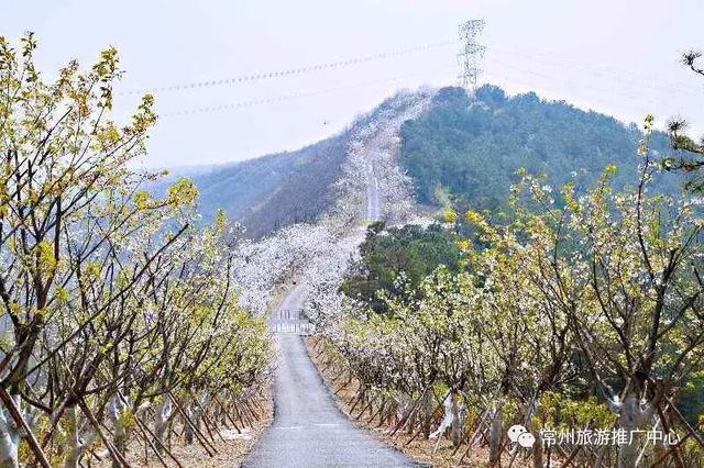 常州值得游玩的景点，常州必去的5个景点推荐