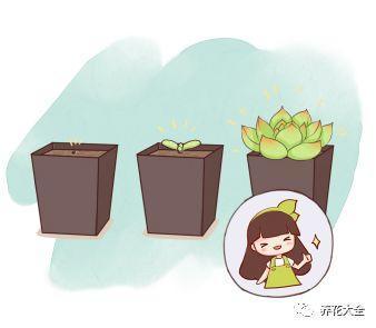 扦插绿萝最好的方法，绿萝扦插小技巧