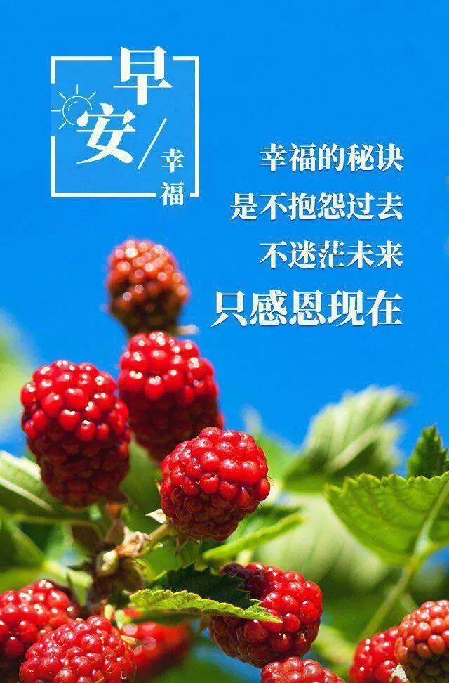 励志早安心语句子190530：一个今天，抵得上无数个明天