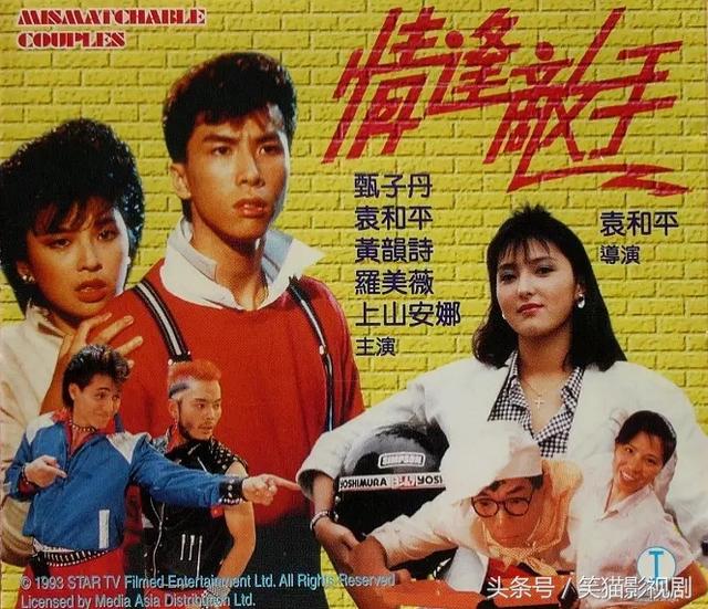 甄子丹10部最好看的电影，甄子丹最经典的40部作品