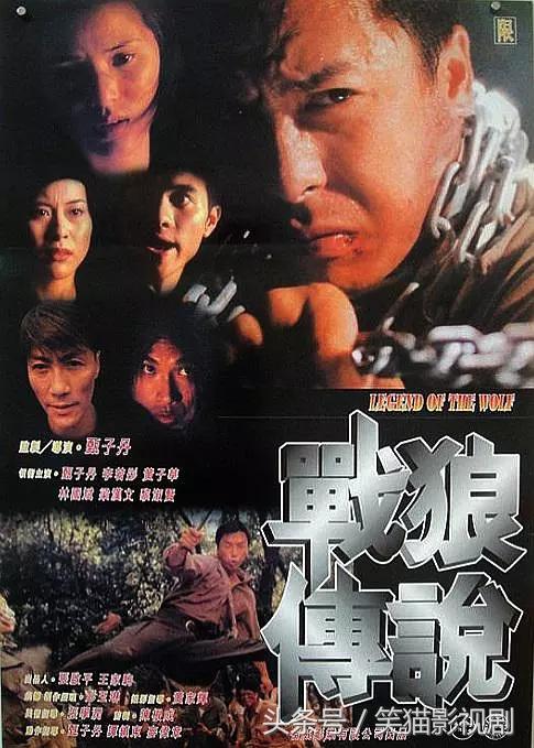 甄子丹10部最好看的电影，甄子丹最经典的40部作品