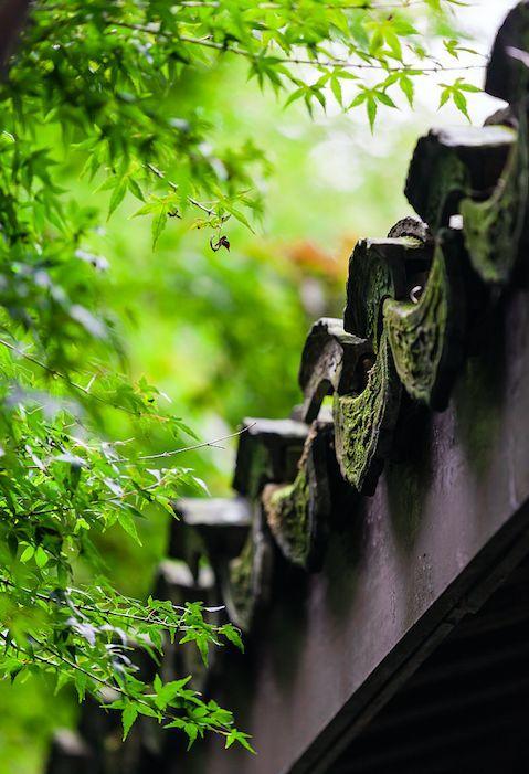 晚安人生哲理180528：人，越简单越快乐