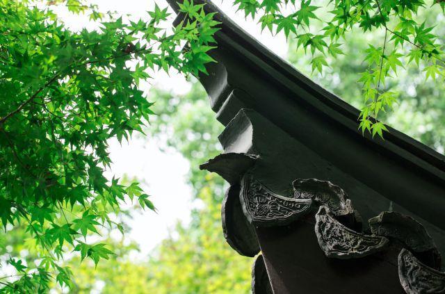 晚安人生哲理180528：人，越简单越快乐