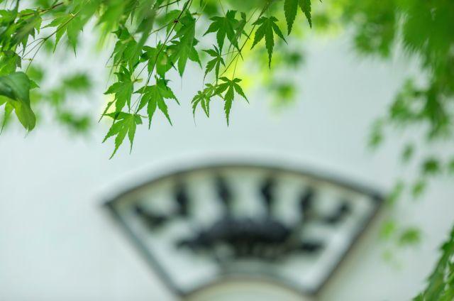 晚安人生哲理180528：人，越简单越快乐