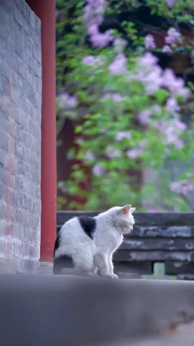 晚安人生哲理180528：人，越简单越快乐