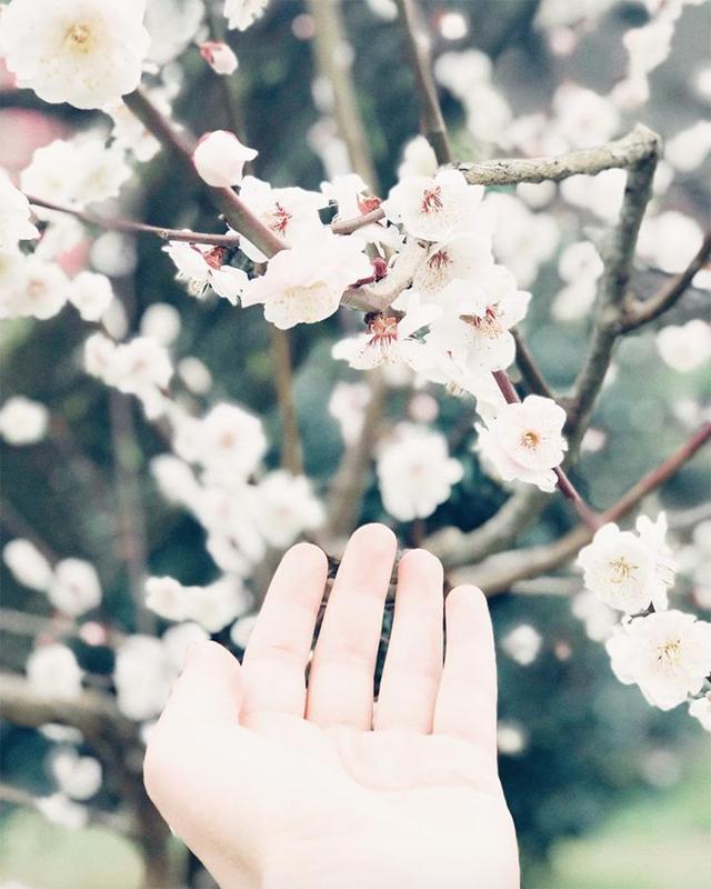 星期一的晚安句子180528：经营好心情，你就拥有了生活的全部