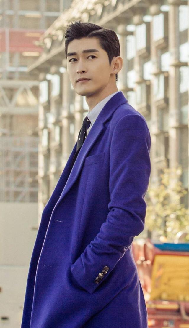 张翰评价占南弦，关于占南弦那让人无法忽视的抬头纹