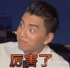 celine笑脸包，celine笑脸包获得的奖项