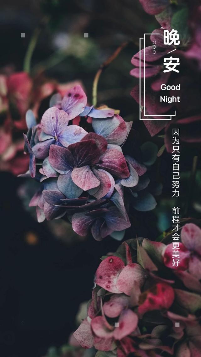 晚安心语180530：先说爱的先不爱，后动心的不死心