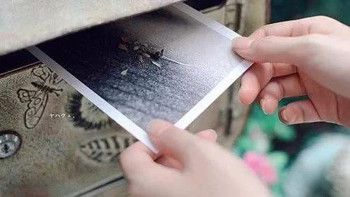 浪漫邀约寄你一张秋日明信片，把你的思念安顿在世界之巅