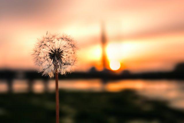 晚安感悟180531：每个人都渴望被理解