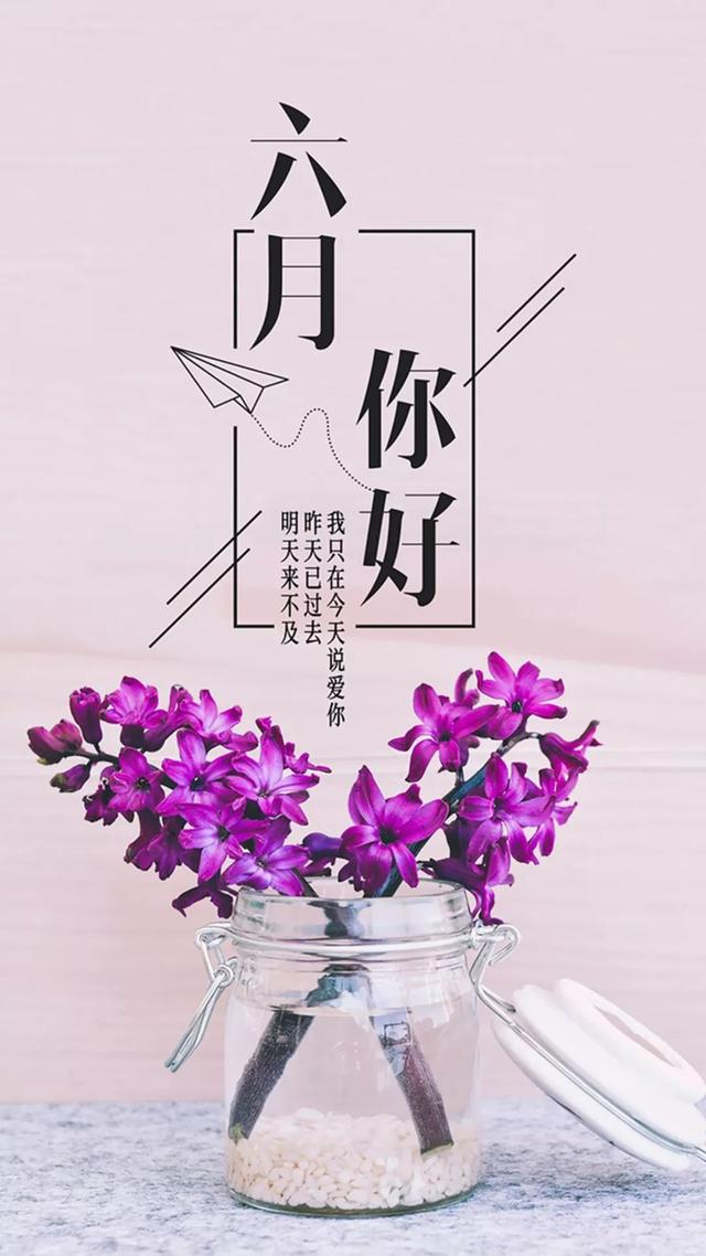 6月你好的美图大全,六月你好的图片集锦